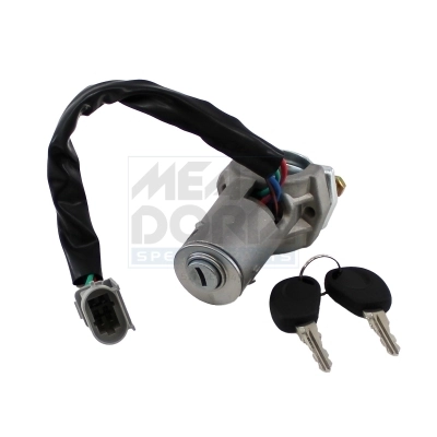 Steering Lock